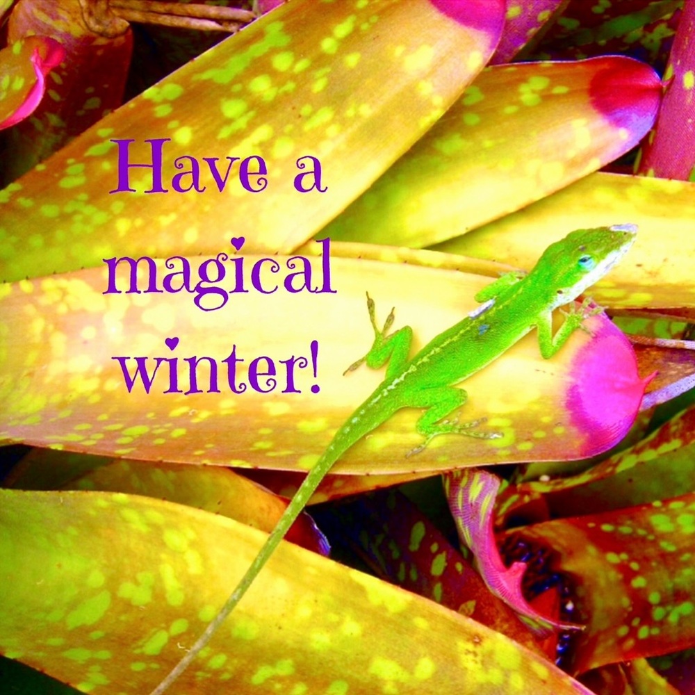 🌈☀️ HAVE A MAGICAL WINTER ☀️🌈
